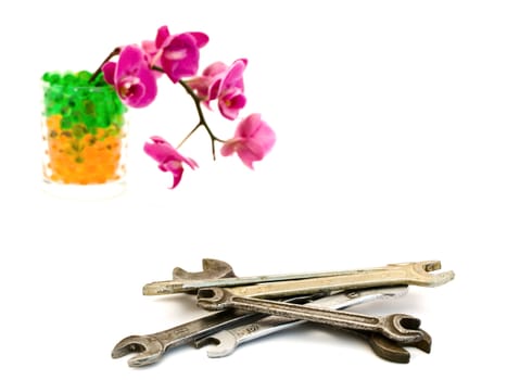 old spanners and  pink orchid flower over white background