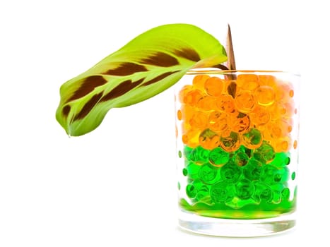 gtreen leaf in the glass with multicolored hydrogel