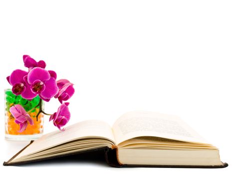 open book and pink orchid over the white background
