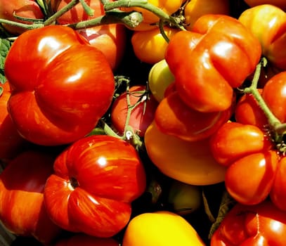 Tomato Basket