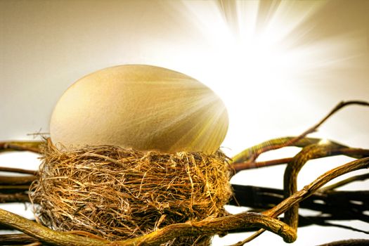 Big golden egg in  bird's nest