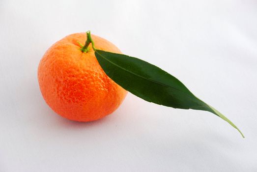 Clementine orange