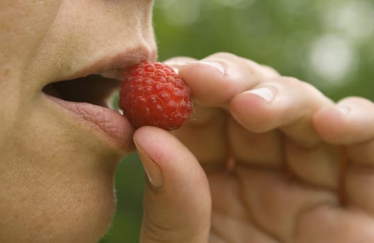 woman eats berries raspberries in the garden