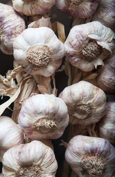Close up image of several garlic with black background