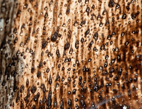 Image of oil stains and drops