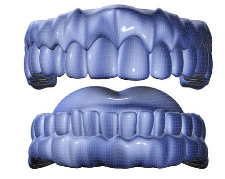 3d image of mesh denture isolated in white