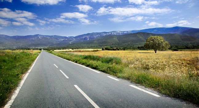 Landscape with road and fields and blue sky