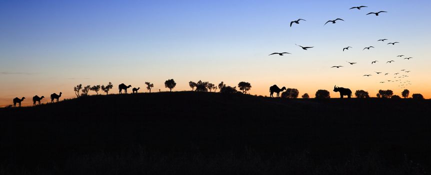 Sunset landscape with silhouettes of animals and trees