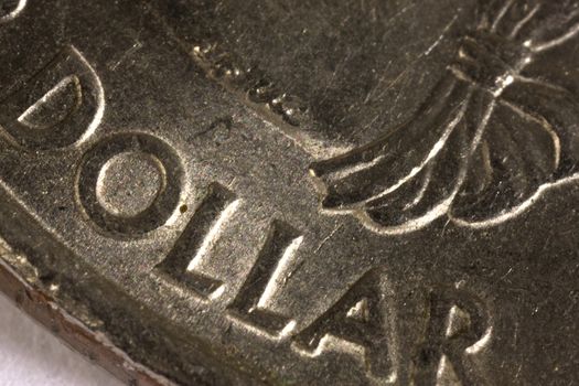 A macro of a one dollar