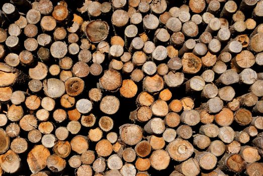 A detail of dry firewood logs stacked up, suitable for background.