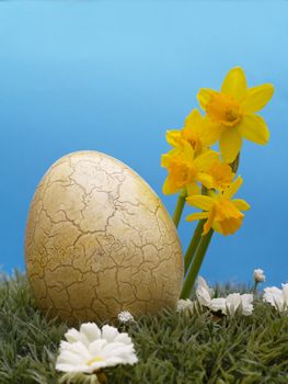 easter egg with drarf daffodils on artificial grass and blossoms, blue background