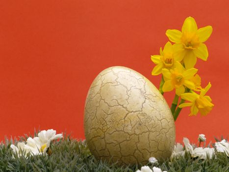 easter egg with drarf daffodils on artificial grass and blossoms, red background