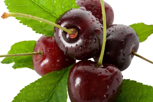 sweet cherries with leaves, isolated on white