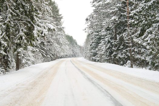 country road in snow