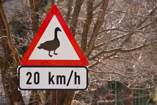 red metal caution triangle with speed limit indicating geese crossing