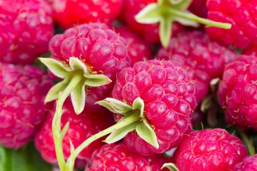 ripe raspberries background