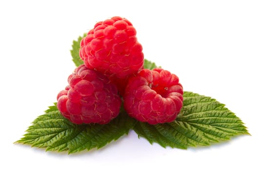 heap of ripe raspberries with leaves, isolated on white