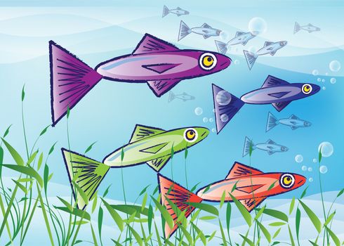 A vector illustration of stylized fish. Three colourful fish to the foreground with a shoal, or school, of smaller fish to the background over a blue background with grass reeds to the front.