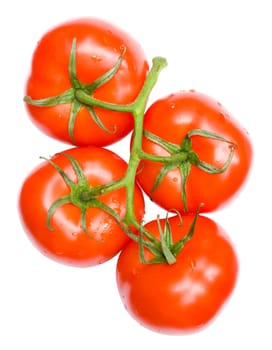 twig of ripe tomatoes, isolated on white