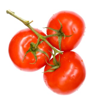 twig of ripe tomatoes, isolated on white