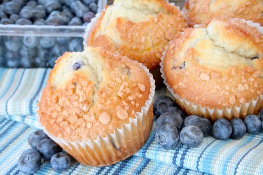 Blueberry Strussel muffins with fresh blueberries laying around.