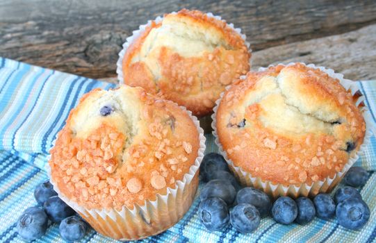 Three blueberry muffins with fresh blueberries.