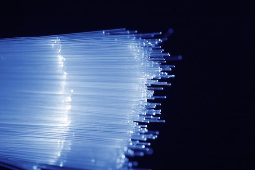 A macro shot of bundled fibre optics.