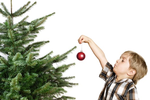 Cute boy hanging the first Christmas decoration on the tree.
