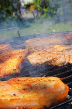 meat on the barbecue in summer showing food concept