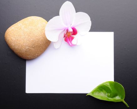 zen or spa stones with blank and empty copyspace paper