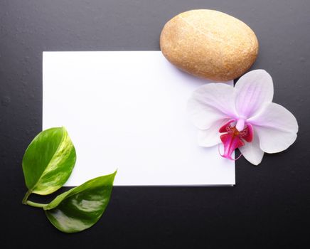 spa or wellness concept with blank and empty sheet paper on white