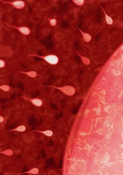 Abstract illustration of sperm swimming towards an egg