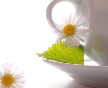 cup of tea or coffee with leaf and white copyspace