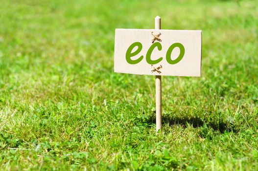 eco concept with word on nature still life