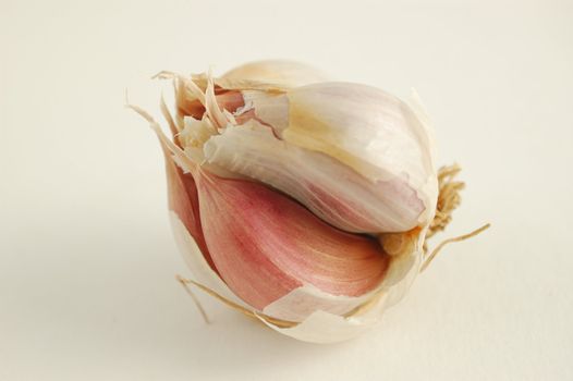 Close-up of garlic on white background