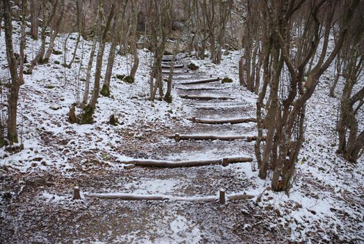 Staircase made of trunks in a forest in winter.