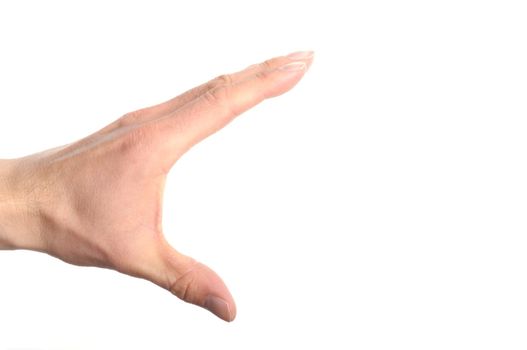 male hand isolated on a white background with copyspace
