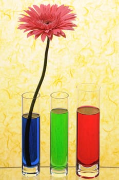 Vases with multi-coloured water on yellow background