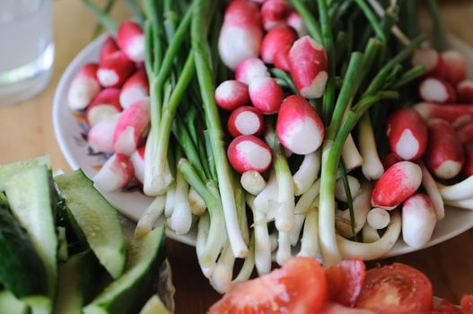 Spring salad from a cucumber, a tomato, a garden radish, an onions