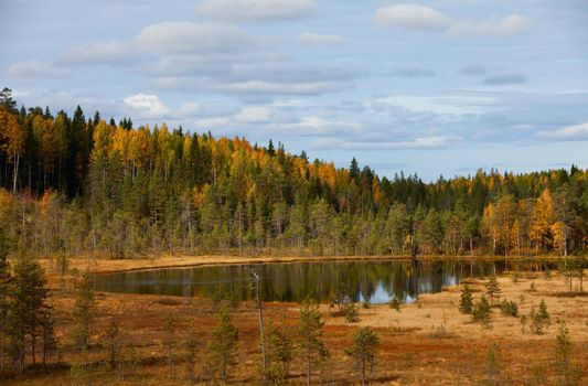 Wood lake. autumn landscape. nature. Karelia. Russia
