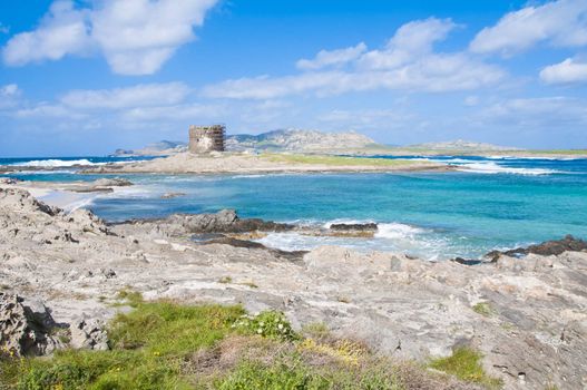 rocks on the beach of Stintino in Sardinia