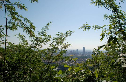 A frame done by trees and green plants, around a little landsacpe of Lyon, in France. This view is taken from the hill where is set the basilica of Fourvi�re.