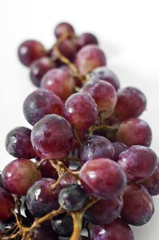 Black grapes on white background