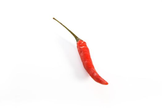 Small but hot and spicy red chili pepper on white background