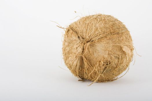 Whole coconut shot in studio