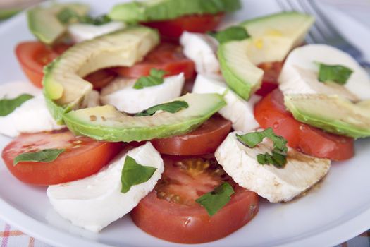 Fresh mozzarella, tomatoes and avocado drizzled with olive oil and balsamic vinegar.