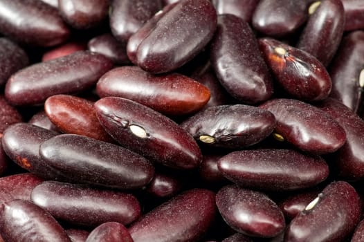 A couple of dark red  kidney beans 