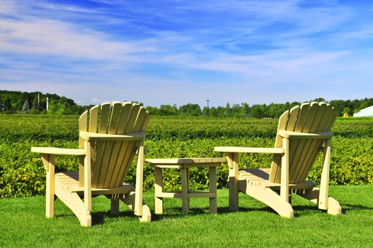 Muskoka chairs and table near vineyard under blue sky