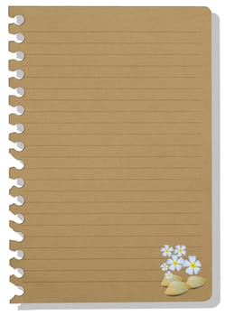 brown note paper in shellfish style