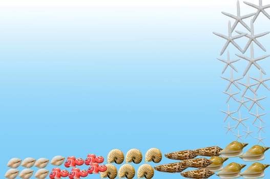 isolate shellfish on light blue background